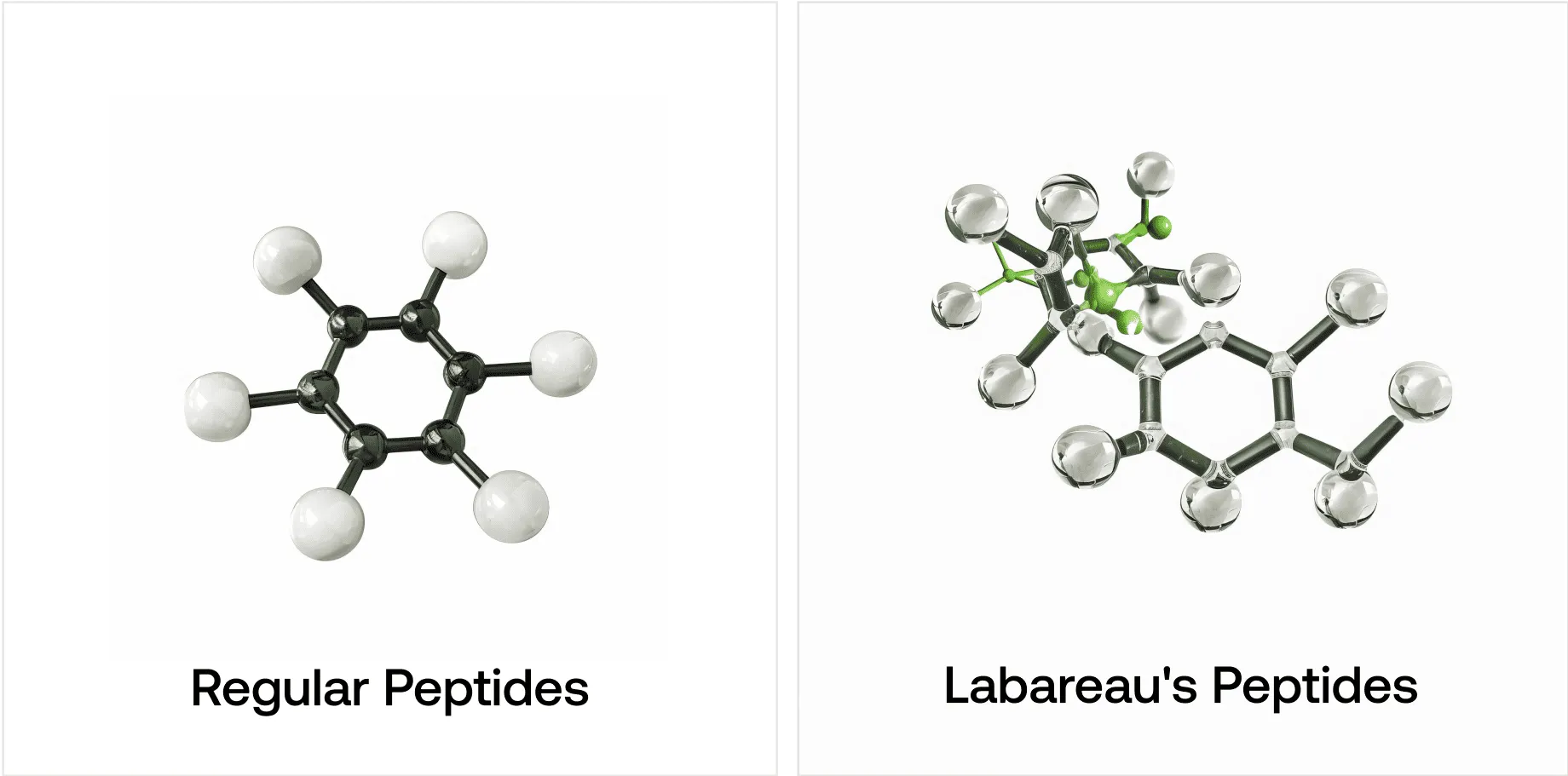 Reguliere peptiden vs Labareau peptiden